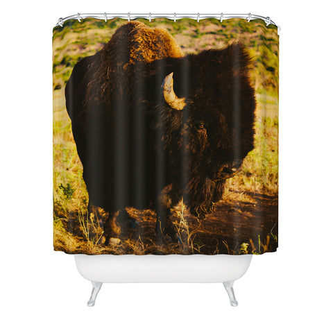 Bethany Young Photography Beauty Beast Shower Curtain