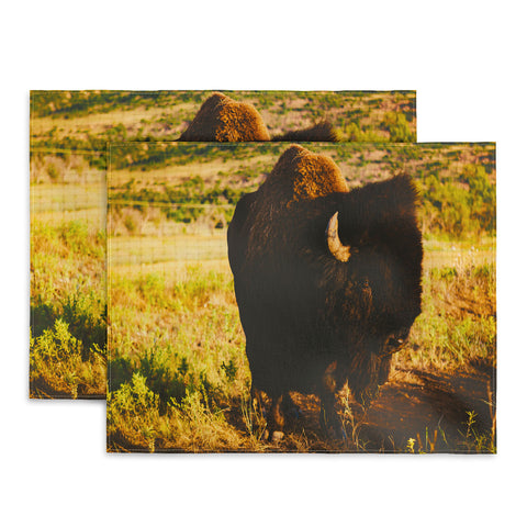 Bethany Young Photography Beauty Beast Placemat
