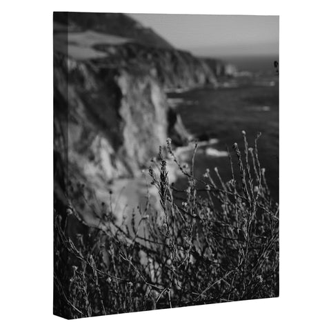 Bethany Young Photography Big Sur Wild Flowers Art Canvas