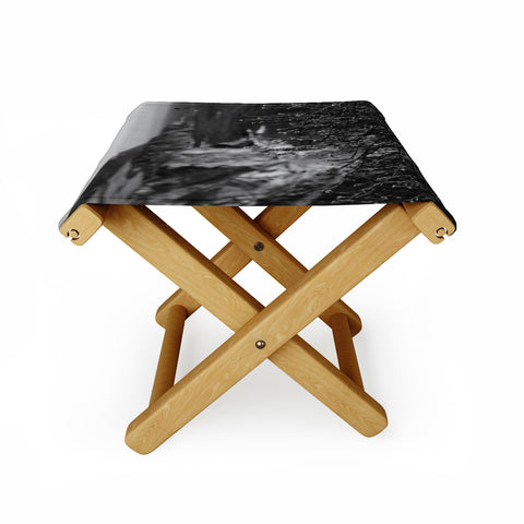 Bethany Young Photography Big Sur Wild Flowers Folding Stool