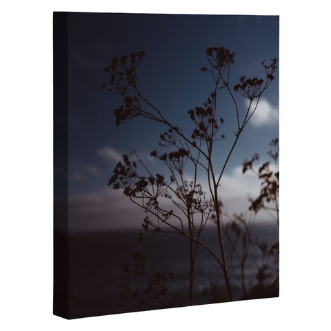 Bethany Young Photography Big Sur Wild Flowers III Art Canvas