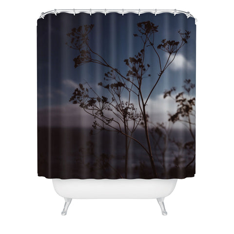 Bethany Young Photography Big Sur Wild Flowers III Shower Curtain