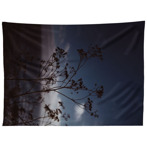 Bethany Young Photography Big Sur Wild Flowers III Tapestry