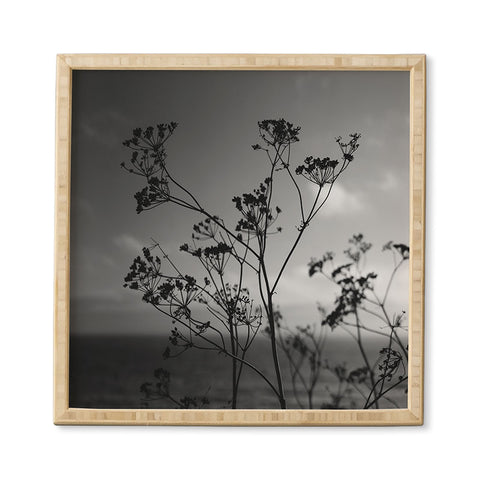 Bethany Young Photography Big Sur Wild Flowers IV Framed Wall Art