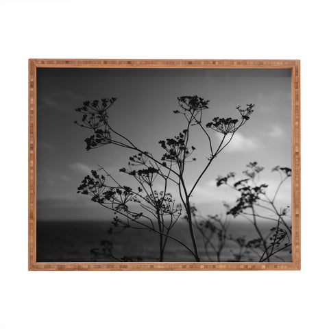 Bethany Young Photography Big Sur Wild Flowers IV Rectangular Tray