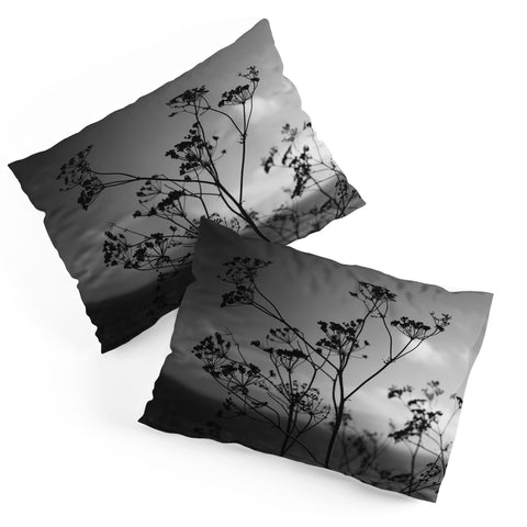 Bethany Young Photography Big Sur Wild Flowers IV Pillow Shams