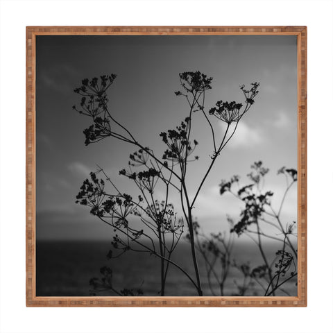 Bethany Young Photography Big Sur Wild Flowers IV Square Tray