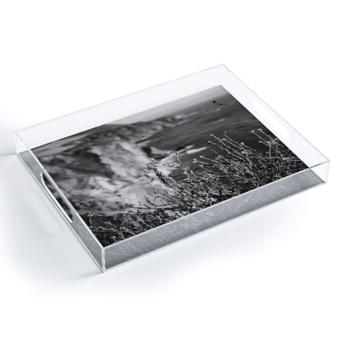 Bethany Young Photography Big Sur Wild Flowers Acrylic Tray