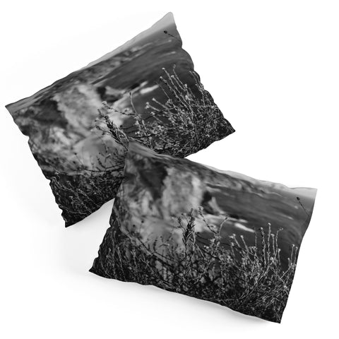 Bethany Young Photography Big Sur Wild Flowers Pillow Shams