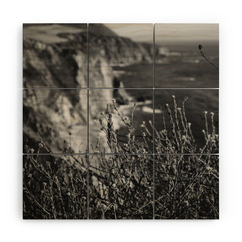 Bethany Young Photography Big Sur Wild Flowers Wood Wall Mural