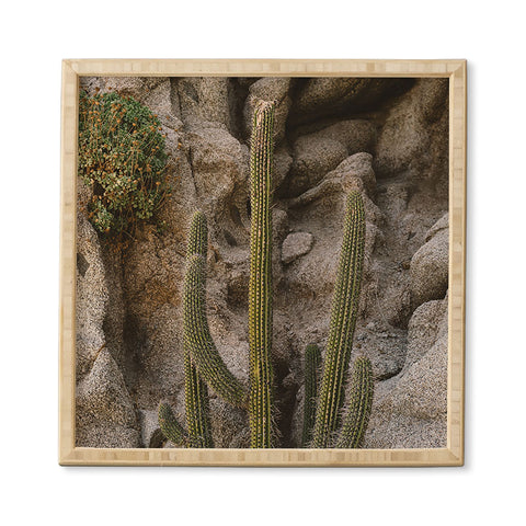Bethany Young Photography Cabo Cactus III Framed Wall Art