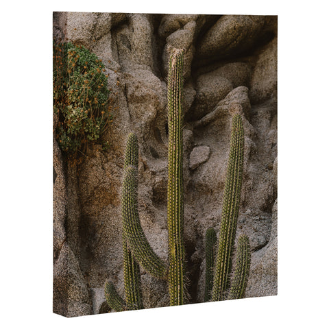 Bethany Young Photography Cabo Cactus III Art Canvas