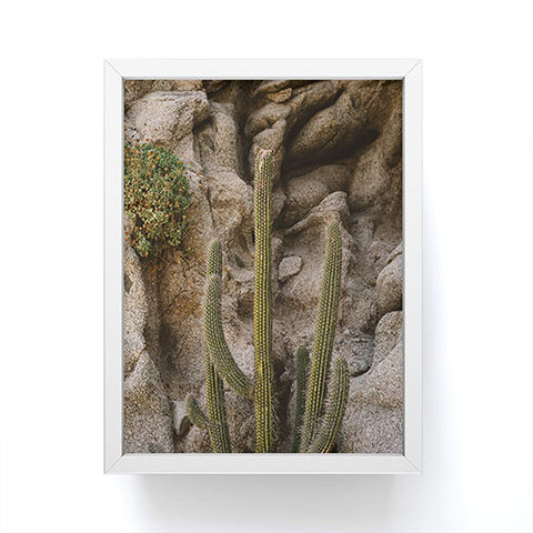 Bethany Young Photography Cabo Cactus III Framed Mini Art Print