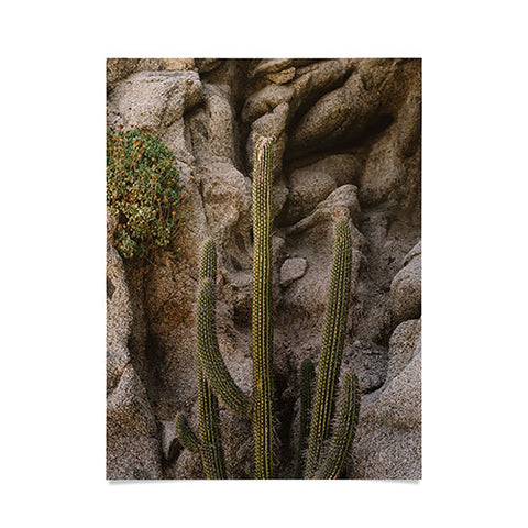 Bethany Young Photography Cabo Cactus III Poster