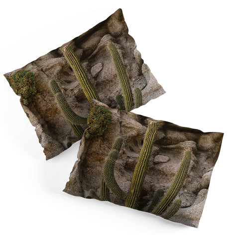 Bethany Young Photography Cabo Cactus III Pillow Shams
