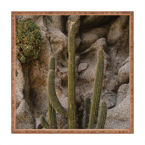 Bethany Young Photography Cabo Cactus III Square Tray