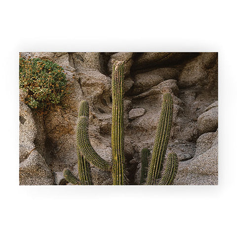 Bethany Young Photography Cabo Cactus III Welcome Mat