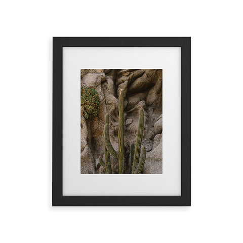 Bethany Young Photography Cabo Cactus III Framed Art Print