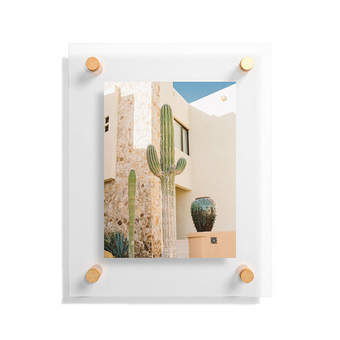 Bethany Young Photography Cabo Cactus VII Floating Acrylic Print