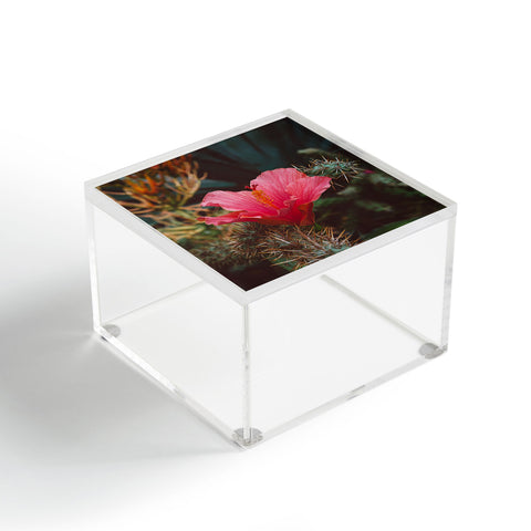 Bethany Young Photography California Bloom III Acrylic Box