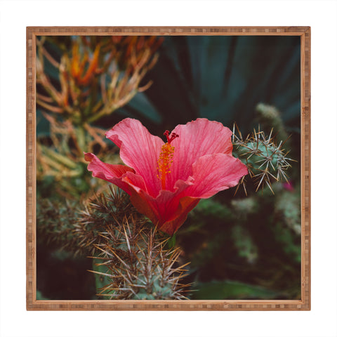 Bethany Young Photography California Bloom III Square Tray