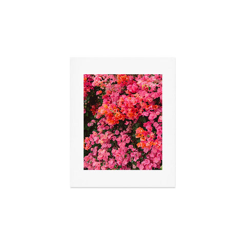 Bethany Young Photography California Blooms Art Print