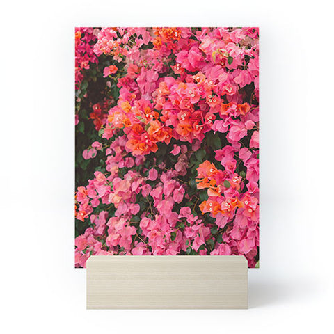 Bethany Young Photography California Blooms Mini Art Print