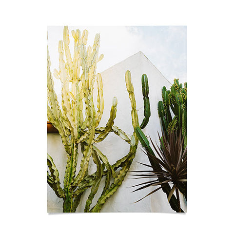 Bethany Young Photography California Cactus Garden Poster