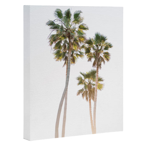 Bethany Young Photography California Palms Art Canvas
