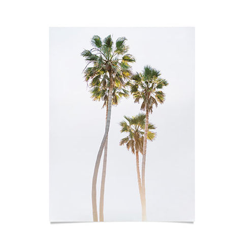 Bethany Young Photography California Palms Poster