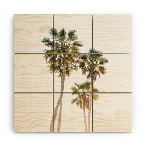 Bethany Young Photography California Palms Wood Wall Mural