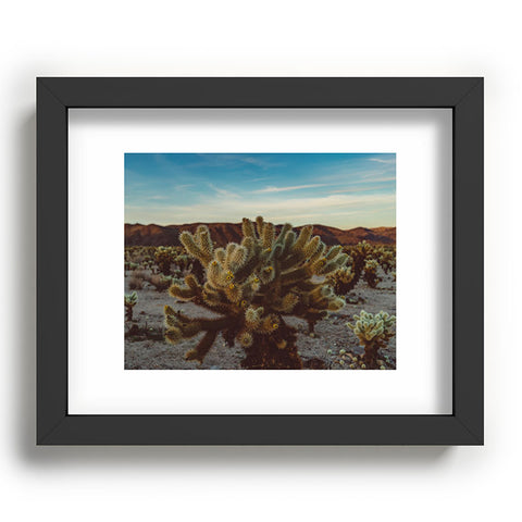 Bethany Young Photography Cholla Cactus Garden X Recessed Framing Rectangle