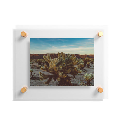 Bethany Young Photography Cholla Cactus Garden X Floating Acrylic Print