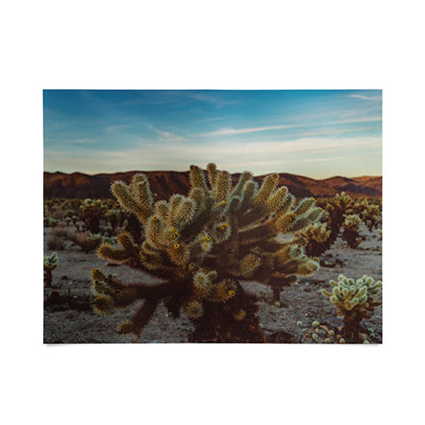 Bethany Young Photography Cholla Cactus Garden X Poster