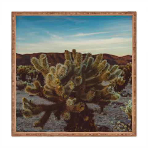 Bethany Young Photography Cholla Cactus Garden X Square Tray