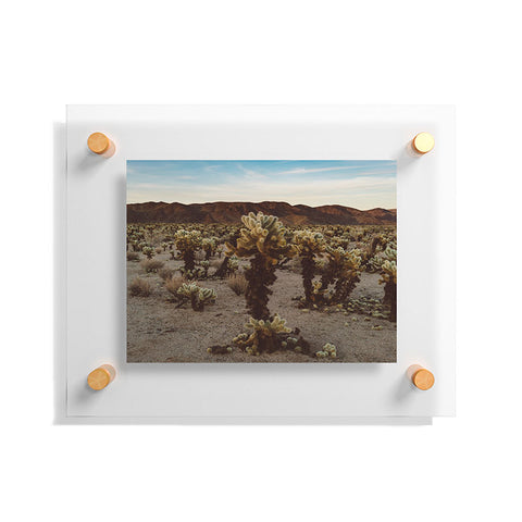 Bethany Young Photography Cholla Cactus Garden XII Floating Acrylic Print