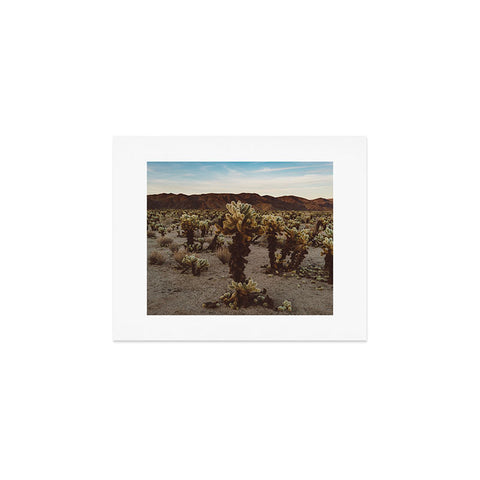 Bethany Young Photography Cholla Cactus Garden XII Art Print
