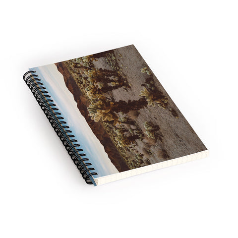Bethany Young Photography Cholla Cactus Garden XII Spiral Notebook
