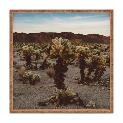 Bethany Young Photography Cholla Cactus Garden XII Square Tray