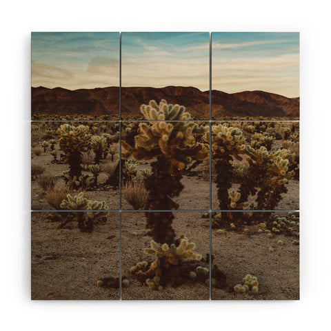 Bethany Young Photography Cholla Cactus Garden XII Wood Wall Mural