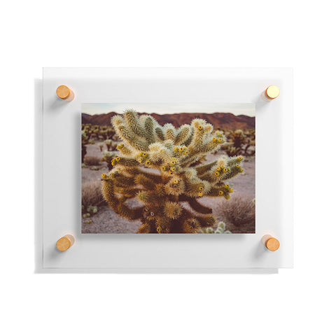 Bethany Young Photography Cholla Cactus Garden XIV Floating Acrylic Print