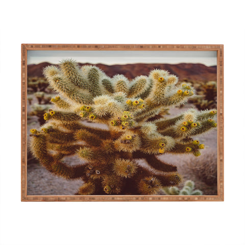 Bethany Young Photography Cholla Cactus Garden XIV Rectangular Tray
