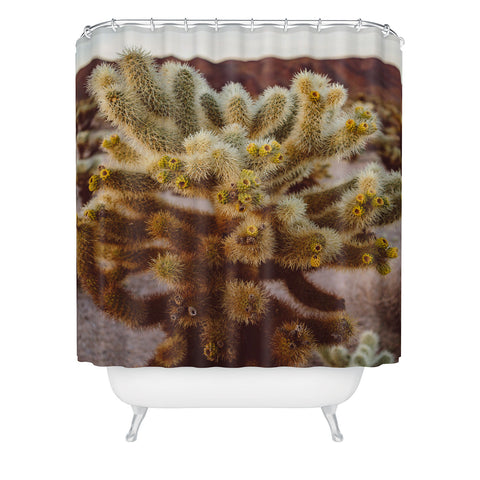 Bethany Young Photography Cholla Cactus Garden XIV Shower Curtain