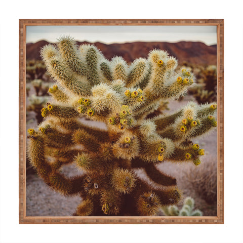 Bethany Young Photography Cholla Cactus Garden XIV Square Tray