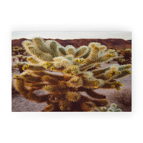 Bethany Young Photography Cholla Cactus Garden XIV Welcome Mat