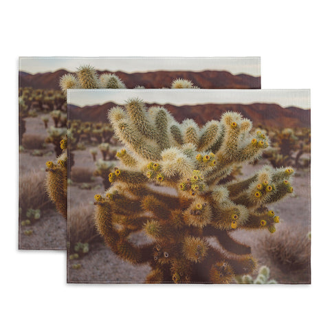 Bethany Young Photography Cholla Cactus Garden XIV Placemat