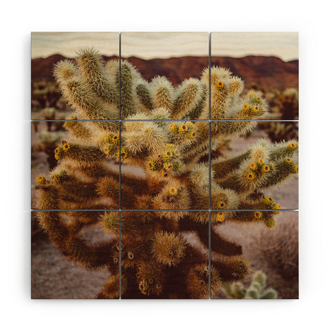 Bethany Young Photography Cholla Cactus Garden XIV Wood Wall Mural