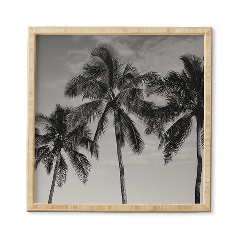 Bethany Young Photography Hawaiian Palms IV Framed Wall Art