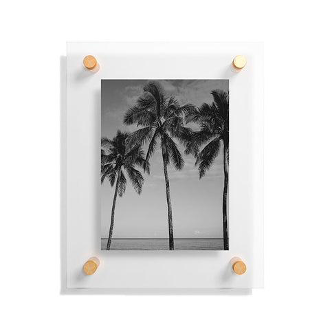Bethany Young Photography Hawaiian Palms IV Floating Acrylic Print