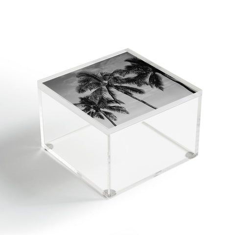 Bethany Young Photography Hawaiian Palms IV Acrylic Box